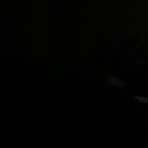 Meet your Posher, Jerry